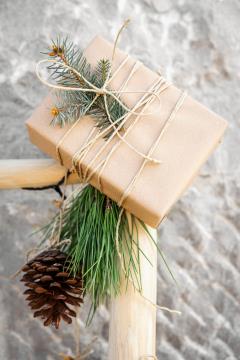 Foto_Jasmina Putnik - JRP Studio (4)